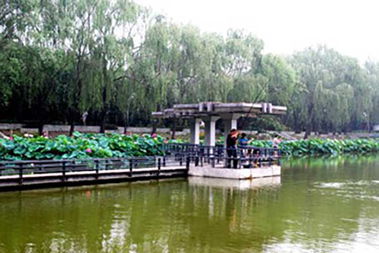 大兴拓展基地：北京星明湖度假村